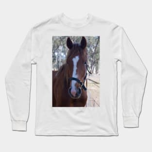 Wally - Thoroughbred Gelding Long Sleeve T-Shirt